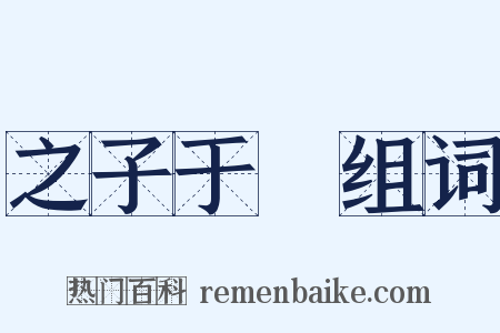 之子于歸组词是什么意思的图片